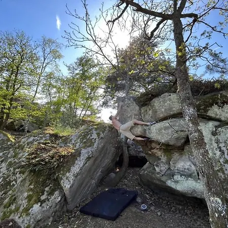 Le Carpe Diem * Milly-la-Foret